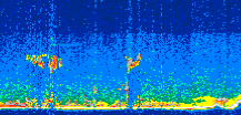 /calipso-imagery/data/BROWSE/production/V5-00/2008-12-16/2008-12-16_09-08-13_V5.00_3_thmb.png image missing