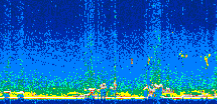 /calipso-imagery/data/BROWSE/production/V5-00/2008-12-16/2008-12-16_19-01-35_V5.00_3_thmb.png image missing