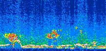 /calipso-imagery/data/BROWSE/production/V5-00/2008-12-16/2008-12-16_20-40-25_V5.00_2_thmb.png image missing