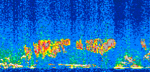 /calipso-imagery/data/BROWSE/production/V5-00/2008-12-16/2008-12-16_23-58-10_V5.00_2_thmb.png image missing
