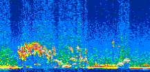/calipso-imagery/data/BROWSE/production/V5-00/2008-12-17/2008-12-17_01-37-05_V5.00_2_thmb.png image missing
