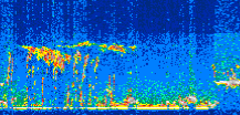 /calipso-imagery/data/BROWSE/production/V5-00/2008-12-17/2008-12-17_03-16-01_V5.00_3_thmb.png image missing