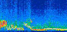 /calipso-imagery/data/BROWSE/production/V5-00/2008-12-17/2008-12-17_06-33-46_V5.00_2_thmb.png image missing