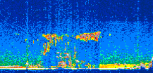 /calipso-imagery/data/BROWSE/production/V5-00/2008-12-17/2008-12-17_06-33-46_V5.00_3_thmb.png image missing