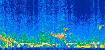 /calipso-imagery/data/BROWSE/production/V5-00/2008-12-17/2008-12-17_08-12-36_V5.00_2_thmb.png image missing