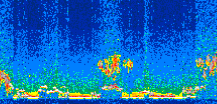 /calipso-imagery/data/BROWSE/production/V5-00/2008-12-17/2008-12-17_11-30-27_V5.00_2_thmb.png image missing
