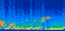 /calipso-imagery/data/BROWSE/production/V5-00/2008-12-17/2008-12-17_19-44-48_V5.00_2_thmb.png image missing