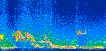 /calipso-imagery/data/BROWSE/production/V5-00/2008-12-18/2008-12-18_00-41-29_V5.00_2_thmb.png image missing