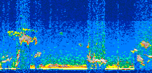 /calipso-imagery/data/BROWSE/production/V5-00/2008-12-18/2008-12-18_00-41-29_V5.00_3_thmb.png image missing
