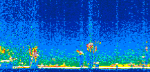 /calipso-imagery/data/BROWSE/production/V5-00/2008-12-18/2008-12-18_02-20-24_V5.00_2_thmb.png image missing