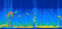 /calipso-imagery/data/BROWSE/production/V5-00/2008-12-18/2008-12-18_02-20-24_V5.00_3_thmb.png image missing