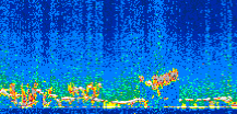 /calipso-imagery/data/BROWSE/production/V5-00/2008-12-18/2008-12-18_07-16-59_V5.00_2_thmb.png image missing
