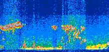 /calipso-imagery/data/BROWSE/production/V5-00/2008-12-18/2008-12-18_08-55-55_V5.00_3_thmb.png image missing