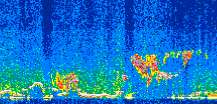 /calipso-imagery/data/BROWSE/production/V5-00/2008-12-18/2008-12-18_15-31-26_V5.00_2_thmb.png image missing