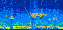 /calipso-imagery/data/BROWSE/production/V5-00/2008-12-18/2008-12-18_15-31-26_V5.00_3_thmb.png image missing