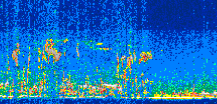 /calipso-imagery/data/BROWSE/production/V5-00/2008-12-18/2008-12-18_17-10-21_V5.00_3_thmb.png image missing