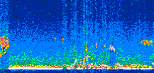 /calipso-imagery/data/BROWSE/production/V5-00/2008-12-18/2008-12-18_22-06-56_V5.00_3_thmb.png image missing