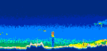 /calipso-imagery/data/BROWSE/production/V5-00/2008-12-18/2008-12-18_22-59-37_V5.00_2_thmb.png image missing
