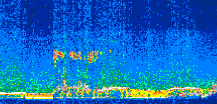 /calipso-imagery/data/BROWSE/production/V5-00/2008-12-19/2008-12-19_06-21-23_V5.00_3_thmb.png image missing
