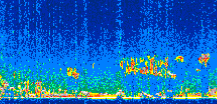 /calipso-imagery/data/BROWSE/production/V5-00/2008-12-19/2008-12-19_09-39-08_V5.00_2_thmb.png image missing