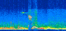 /calipso-imagery/data/BROWSE/production/V5-00/2008-12-19/2008-12-19_09-39-08_V5.00_3_thmb.png image missing