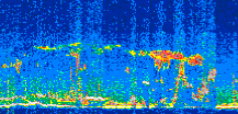 /calipso-imagery/data/BROWSE/production/V5-00/2008-12-19/2008-12-19_16-14-44_V5.00_3_thmb.png image missing