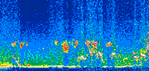 /calipso-imagery/data/BROWSE/production/V5-00/2008-12-19/2008-12-19_17-53-34_V5.00_2_thmb.png image missing