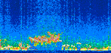 /calipso-imagery/data/BROWSE/production/V5-00/2008-12-19/2008-12-19_19-32-29_V5.00_2_thmb.png image missing