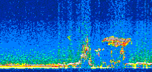 /calipso-imagery/data/BROWSE/production/V5-00/2008-12-19/2008-12-19_21-11-20_V5.00_3_thmb.png image missing