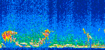 /calipso-imagery/data/BROWSE/production/V5-00/2008-12-19/2008-12-19_22-50-15_V5.00_2_thmb.png image missing