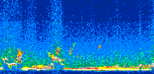 /calipso-imagery/data/BROWSE/production/V5-00/2008-12-20/2008-12-20_00-29-10_V5.00_2_thmb.png image missing