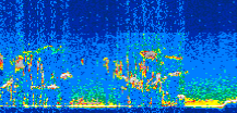 /calipso-imagery/data/BROWSE/production/V5-00/2008-12-20/2008-12-20_08-43-31_V5.00_3_thmb.png image missing