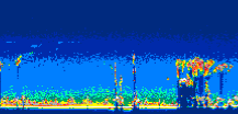 /calipso-imagery/data/BROWSE/production/V5-00/2008-12-20/2008-12-20_12-53-57_V5.00_3_thmb.png image missing