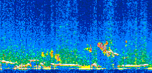 /calipso-imagery/data/BROWSE/production/V5-00/2008-12-20/2008-12-20_13-40-12_V5.00_2_thmb.png image missing