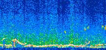 /calipso-imagery/data/BROWSE/production/V5-00/2008-12-20/2008-12-20_15-19-07_V5.00_2_thmb.png image missing