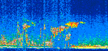 /calipso-imagery/data/BROWSE/production/V5-00/2008-12-20/2008-12-20_16-57-57_V5.00_3_thmb.png image missing