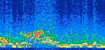 /calipso-imagery/data/BROWSE/production/V5-00/2008-12-20/2008-12-20_20-15-48_V5.00_2_thmb.png image missing