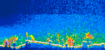 /calipso-imagery/data/BROWSE/production/V5-00/2008-12-20/2008-12-20_21-54-38_V5.00_1_thmb.png image missing