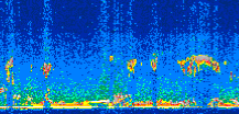 /calipso-imagery/data/BROWSE/production/V5-00/2008-12-20/2008-12-20_23-33-33_V5.00_3_thmb.png image missing