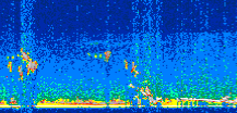/calipso-imagery/data/BROWSE/production/V5-00/2008-12-21/2008-12-21_01-12-23_V5.00_3_thmb.png image missing