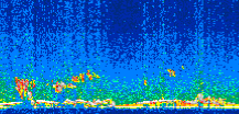 /calipso-imagery/data/BROWSE/production/V5-00/2008-12-21/2008-12-21_02-51-18_V5.00_2_thmb.png image missing