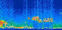 /calipso-imagery/data/BROWSE/production/V5-00/2008-12-21/2008-12-21_04-30-09_V5.00_2_thmb.png image missing