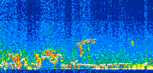/calipso-imagery/data/BROWSE/production/V5-00/2008-12-21/2008-12-21_07-47-54_V5.00_2_thmb.png image missing