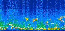 /calipso-imagery/data/BROWSE/production/V5-00/2008-12-21/2008-12-21_09-26-49_V5.00_2_thmb.png image missing