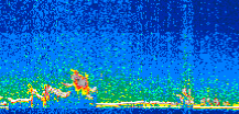 /calipso-imagery/data/BROWSE/production/V5-00/2008-12-21/2008-12-21_14-23-30_V5.00_2_thmb.png image missing