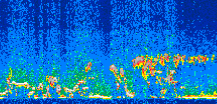 /calipso-imagery/data/BROWSE/production/V5-00/2008-12-21/2008-12-21_22-37-56_V5.00_2_thmb.png image missing