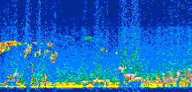 /calipso-imagery/data/BROWSE/production/V5-00/2008-12-23/2008-12-23_01-00-05_V5.00_3_thmb.png image missing
