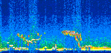 /calipso-imagery/data/BROWSE/production/V5-00/2008-12-23/2008-12-23_02-38-55_V5.00_2_thmb.png image missing