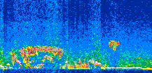 /calipso-imagery/data/BROWSE/production/V5-00/2008-12-23/2008-12-23_05-56-45_V5.00_2_thmb.png image missing