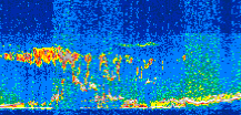 /calipso-imagery/data/BROWSE/production/V5-00/2008-12-23/2008-12-23_05-56-45_V5.00_3_thmb.png image missing